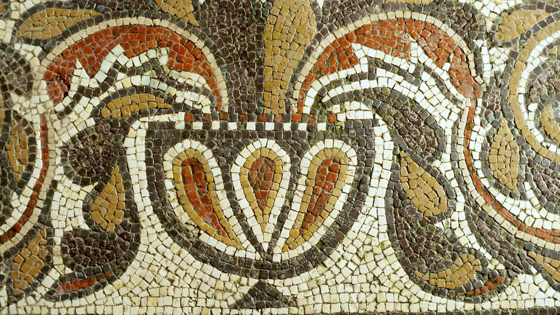 Fotografia di un mosaico con campiture figurate e bordure decorate